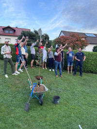 Baumpflanz-Challenge 2025